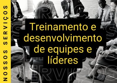 Treinamento e Desenvolvimento de equipes e líderes